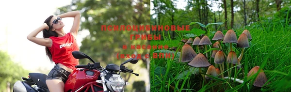 МДПВ Алзамай