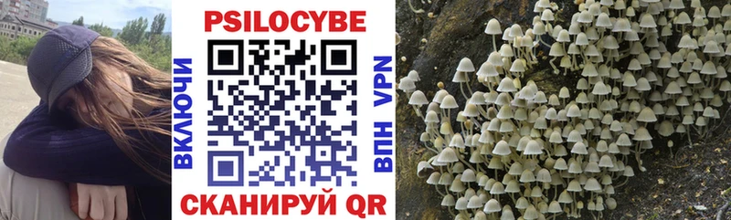 Псилоцибиновые грибы Psilocybine cubensis Нефтекумск